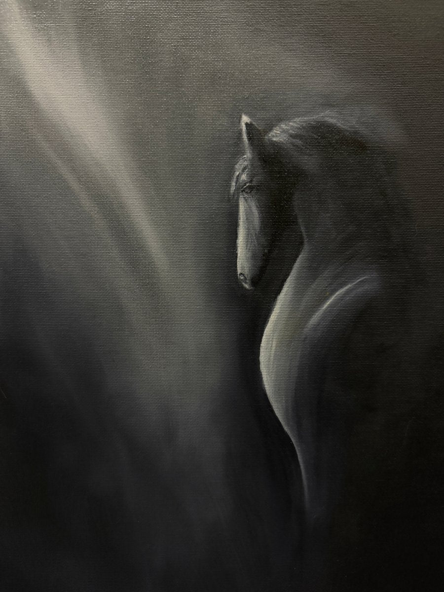 Where Light Finds Me - Cristina Gabriela