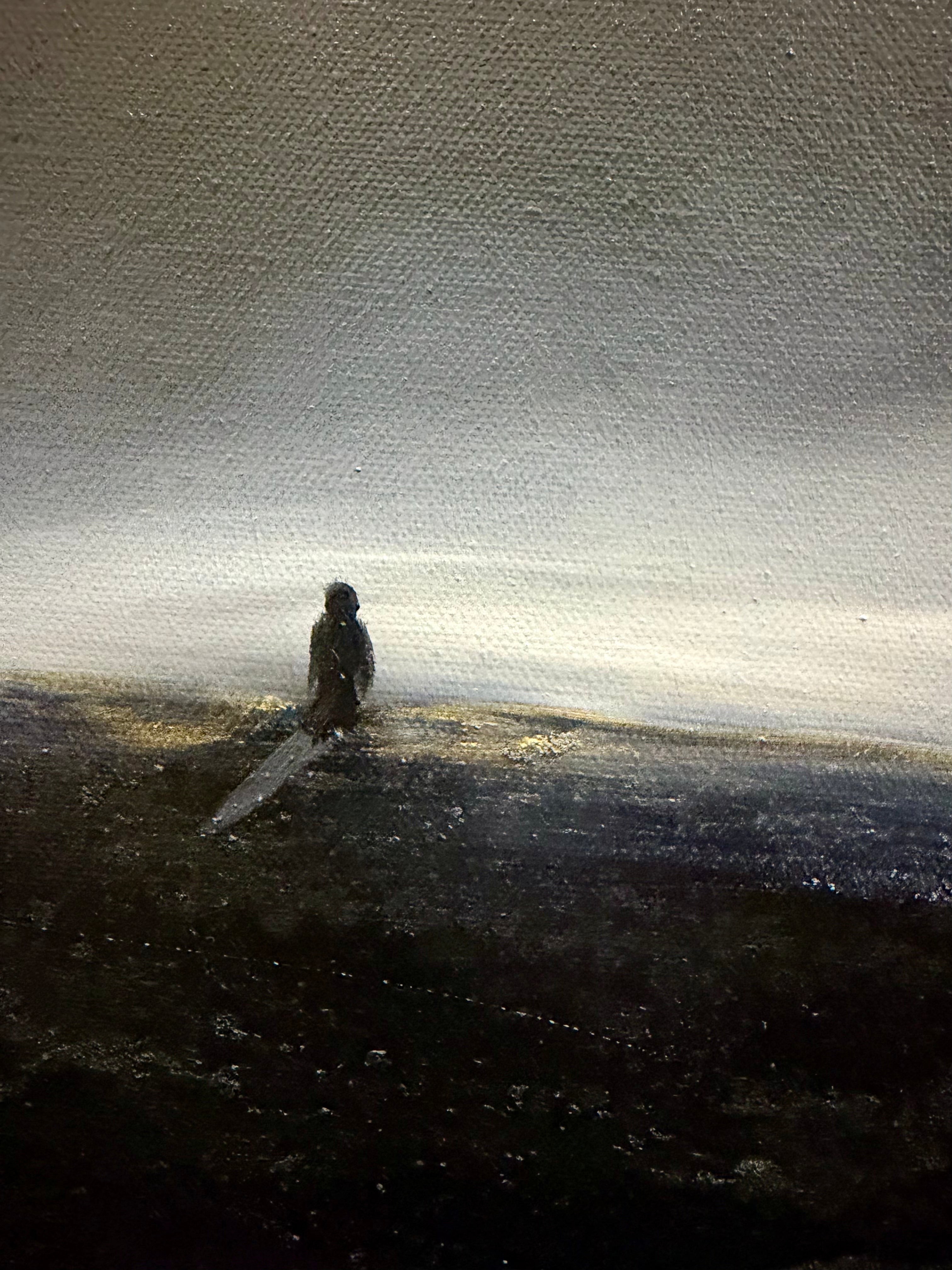 The Hidden Horizon